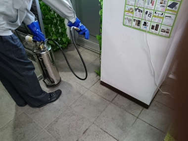 防虫作業（防虫防鼠施工）